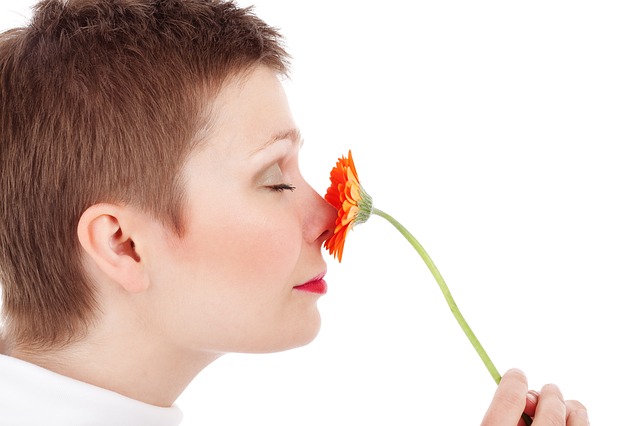 How does the sense of smell works?